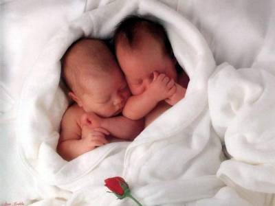ils sont mignon